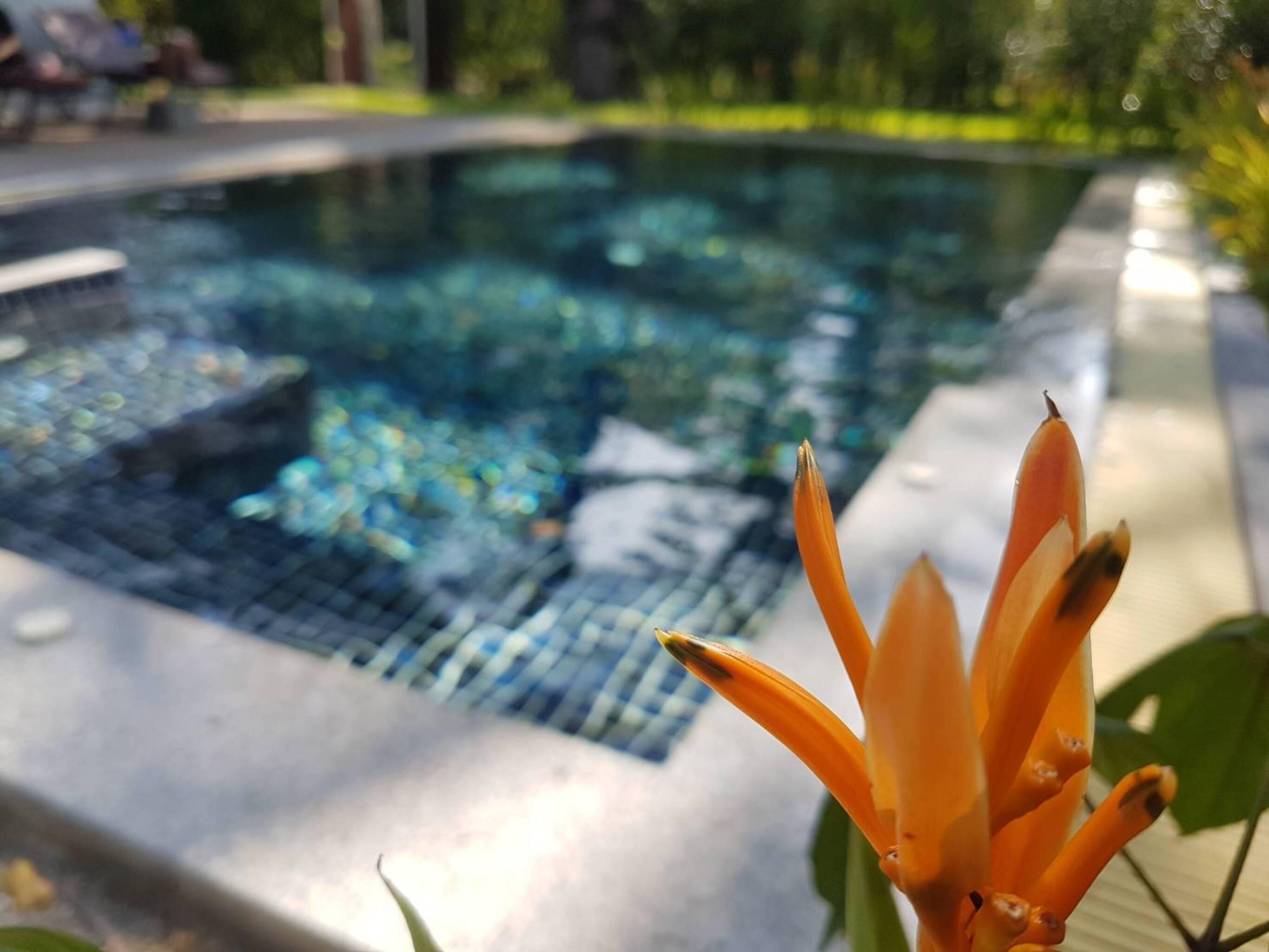 Alisea Pool Villa Aonang Ao Nang Екстер'єр фото